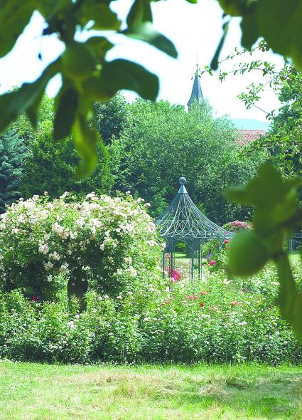 Magdalenengarten in voller Pracht