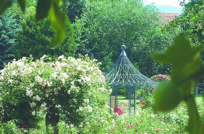 Magdalenengarten in voller Pracht